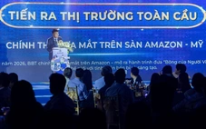 Giấc mơ đưa ‘bông Việt’ ra thế giới của doanh nghiệp 65 tuổi