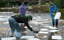 Bộ Quốc phòng huy động thiết bị khắc phục sự cố tràn dầu ở Dung Quất