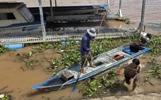 Xuyệt điện tận diệt cá tôm: Thấy trộm mà không dám lên tiếng vì sợ bị chích điện, trả thù