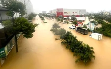 Tổ chức Khí tượng thế giới: Mưa lũ ở Việt Nam vừa qua 'thực sự khủng khiếp', còn nhiều đợt mưa nữa