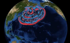 Vệ tinh 'bắt' được sóng thần khổng lồ trên Thái Bình Dương, phát hiện điều bất ngờ