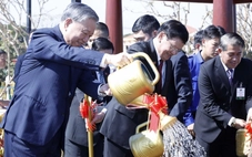 Tầm quan trọng của sự 'gắn kết chiến lược'