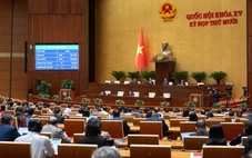 Quốc hội đồng ý tổ chức Đội tuần tra đặc biệt trong tình trạng khẩn cấp