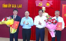 Điều động, chỉ định Chủ nhiệm Ủy ban Kiểm tra Tỉnh ủy Gia Lai và Quảng Ngãi