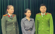 Vụ hủy show Về đây bốn cánh chim trời: bắt giám đốc Công ty TNHH Ngọc Việt Educatio