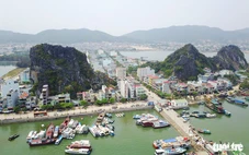 Hoàn thiện chính sách đặc thù về đặc khu Vân Đồn, Vân Phong, Phú Quốc để trình Bộ Chính trị