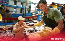 Chất biển mạnh mẽ trong nhịp sống người dân miền duyên hải