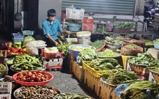 Giá rau hạ nhiệt liên tục, có loại còn 5.000 đồng/kg