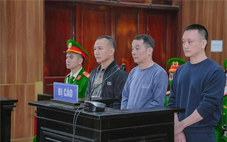 Trùm giang hồ Vi ‘ngộ’ lãnh 3 năm tù về tội đưa hối lộ