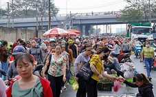 Gắng 'cày cuốc' để về quê ăn tết: Thức khuya dậy sớm vượt khó