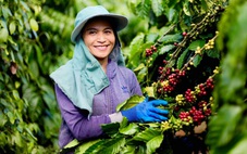 Xuất khẩu nông lâm thủy sản năm 2025 đạt 70,09 tỉ USD, cao nhất từ trước đến nay