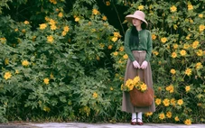 Sáng nay TP.HCM và nhiều nơi ở Nam Bộ dưới 20 độ C, Đà Lạt lạnh 8,6 độ C