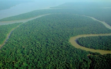 Xuất hiện kiểu khí hậu nguy hiểm ở rừng mưa Amazon, đe dọa toàn bộ hệ sinh thái