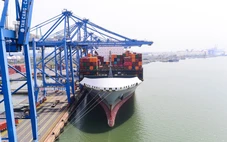 500 container chè của Việt Nam mắc kẹt tại Pakistan được 'giải cứu'