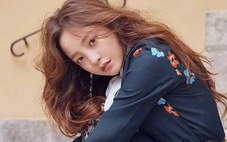 Hàn Quốc chính thức áp dụng đạo luật dựa trên cuộc đời bi kịch của Goo Hara