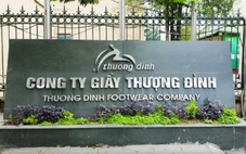 Ban lãnh đạo Giày Thượng Đình giải trình khi cổ phiếu 12 phiên kịch trần