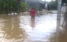 Nhiều nơi ở Nha Trang lại ngập lụt, dự báo lũ trên các sông tiếp tục lên
