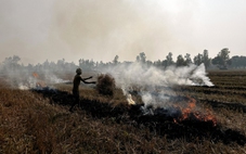 Cuộc chiến toàn cầu chống ô nhiễm không khí