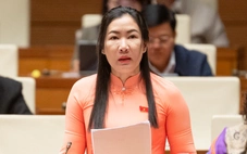 Đại biểu: Lo ngại làn sóng lao động trẻ phải rời bỏ quê hương