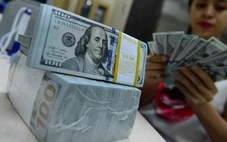 Ngân hàng Nhà nước cam kết giữ ổn định thị trường tiền tệ, ngoại tệ