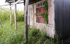 Cà Mau dành gần 580 tỉ đồng hỗ trợ ‘cần câu’ cho hơn 11.000 hộ yếu thế