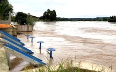 Hàng trăm hộ dân ngập lụt sau khi thủy điện xả lũ: Đồng Nai yêu cầu khẩn trương hỗ trợ người dân