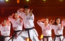 Võ sư, võ sĩ bị 'quỵt' tiền sau Ngày hội Tinh hoa võ Việt