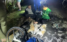 Bắt hai người cầm súng 'gặp chó trộm chó, gặp mèo trộm mèo'