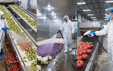 Thực hư hình ảnh phun thuốc làm chín trái cây trong tích tắc ở Trung Quốc?