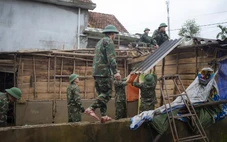 Mùa đi, mùa đến...