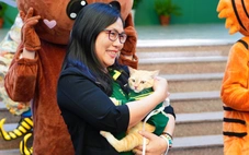 'Chủ tịch' Mika: Từ chú mèo hoang vươn mình thành 'chủ tịch' triệu fan