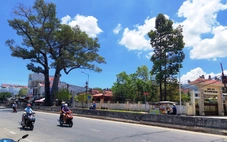 Di tích quốc gia bị hư hại do lũ, Bộ đề nghị Khánh Hòa kịp thời có phương án bảo vệ