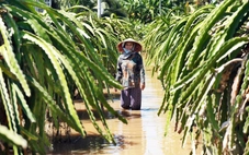 Dân thiệt hại nặng vì hồ xả lũ, công ty không có tiền đền