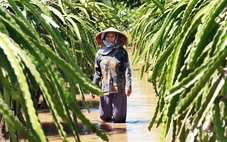 Dân thiệt hại nặng vì hồ xả lũ, công ty không có tiền đền