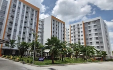 Cần Thơ khởi công, khánh thành 7 dự án hơn 8.900 tỉ chào mừng Đại hội Đảng toàn quốc