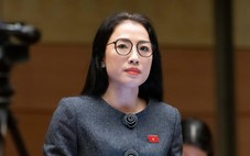 Ủng hộ khung pháp luật khác biệt cho TP.HCM, đại biểu nói phải tạo cơ chế hấp dẫn nhà đầu tư