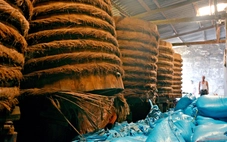 Vùng sản xuất nước mắm Phan Thiết điêu đứng vì lũ 'nuốt' sạch muối, cuốn trôi hàng vạn lít mắm