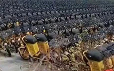 Xác minh video ‘nghĩa địa xe scooter điện’: Lý do thật khiến hàng loạt xe điện bị bỏ xó