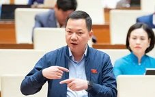 Phân bón đang áp thuế VAT 5%, đại biểu tranh luận việc đưa ra khỏi đối tượng chịu thuế