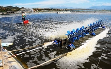 Gỡ bất cập thuế VAT cho nông nghiệp