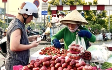 Đầu năm lại thiếu công nhân: Tuyển nhiều, người tìm việc không bao nhiêu