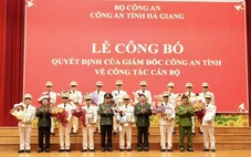 Vui vẻ 'cáo lão, từ quan'