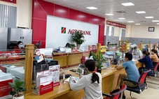 Agribank đẩy mạnh cho vay sản xuất, kinh doanh lúa gạo