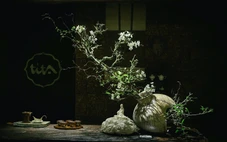 Lạc vào thế giới Ikebana ‘Nhất khí nhất hoa’