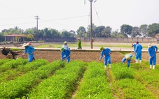 Tìm lại mình sau tháng năm chìm trong 'cái chết trắng'