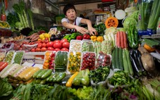 Các nhóm thức ăn tốt cho đường ruột và hệ tiêu hóa của chúng ta