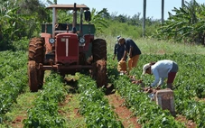 Cuba lần đầu xem xét cấp quyền sử dụng đất cho người nước ngoài