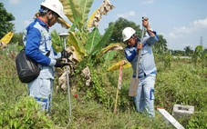 Hồ sơ khảo sát nhà đầu tư làm cao tốc TP.HCM - Mộc Bài phải bổ sung trạm dừng nghỉ