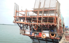 18 tàu câu mực mất kết nối gần Philippines, Quảng Nam kiến nghị Bộ Quốc phòng chỉ đạo xử lý