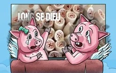 Theo trend lòng se điếu